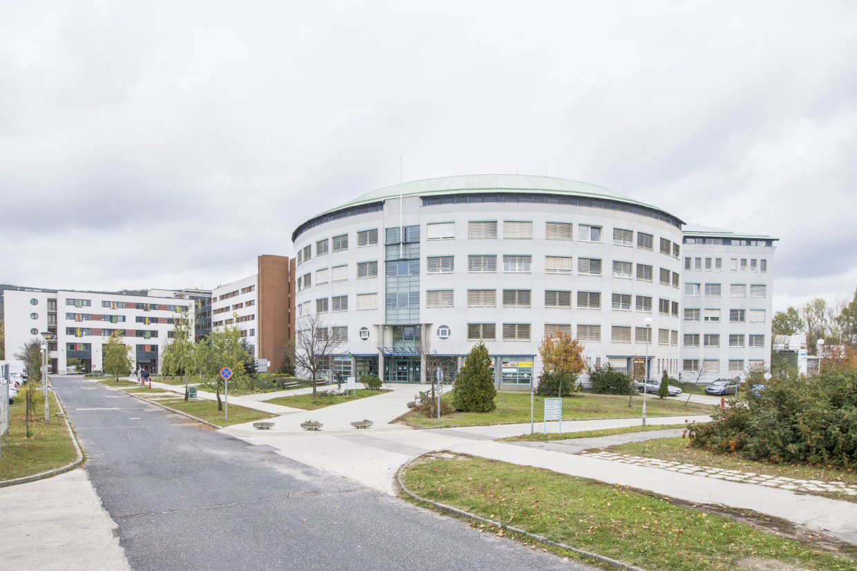 tatabanya korhaz kulso 03